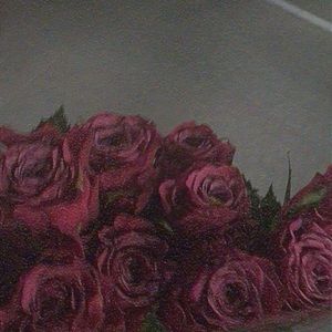 Meet your Posher, Georgia